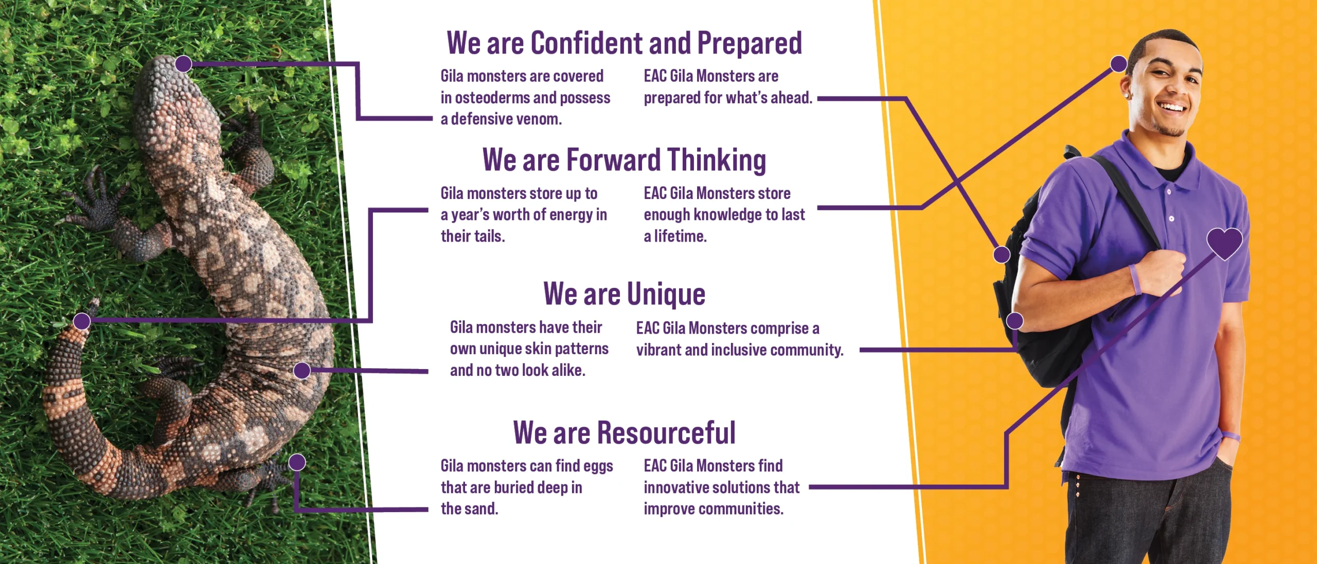 Infographic comparing EAC students to the real-world Gila Monster. "We are Confident and Prepared Gila monsters are covered EAC Gila Monsters are in osteoderms and possess prepared for what's ahead. a defensive venom. We are Forward Thinking Gila monsters store up to EAC Gila Monsters store a year's worth of energy in enough knowledge to last their tails. a lifetime. We are Unique Gila monsters have their EAC Gila Monsters comprise a own unique skin patterns vibrant and inclusive community. and no two look alike. We are Resourceful Gila monsters can find eggs EAC Gila Monsters find that are buried deep in innovative solutions that the sand. improve"