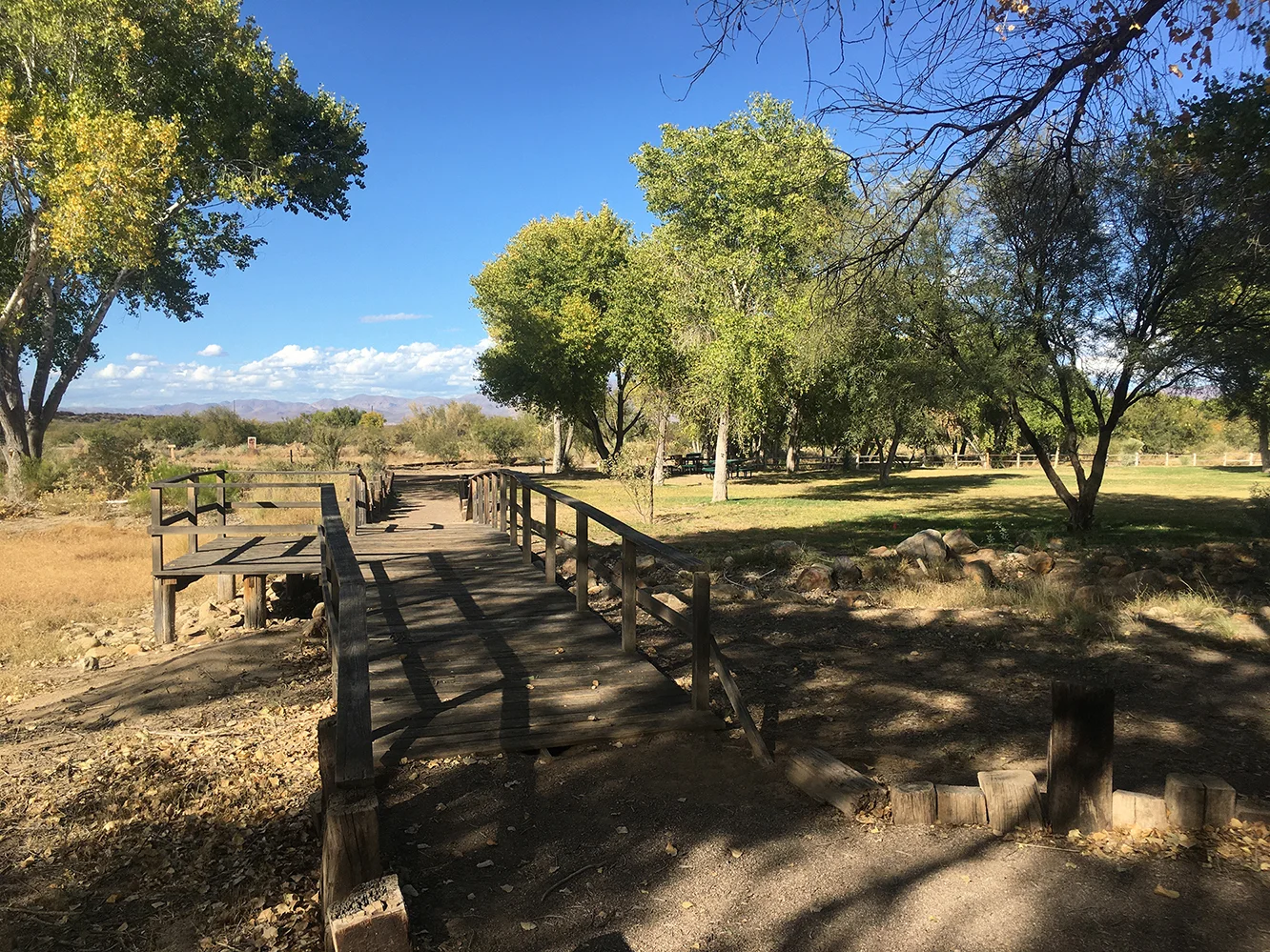 Explore EAC Discovery Park’s Nature’s Hideaway Trail System