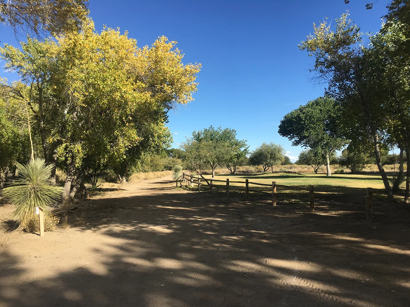 Discovery Park Trail
