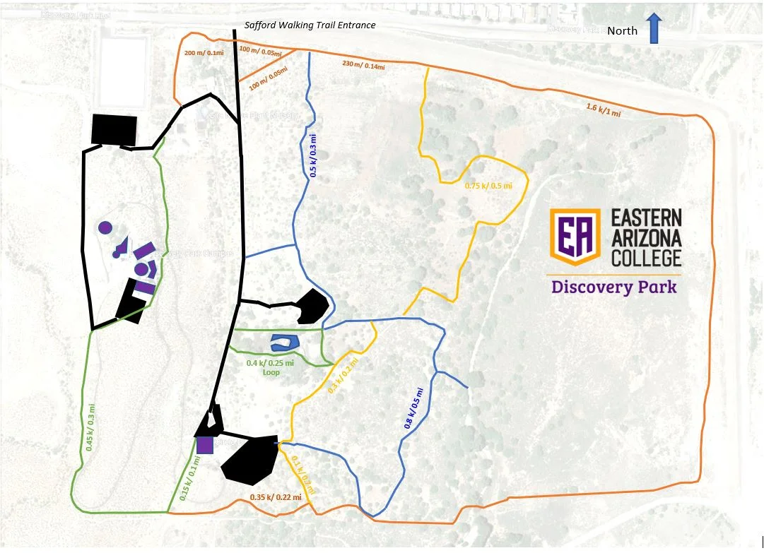 Discovery Park Trail Map